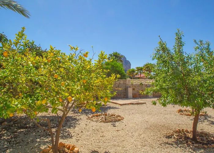 Cohete - Plusholidays Βίλα Ifach